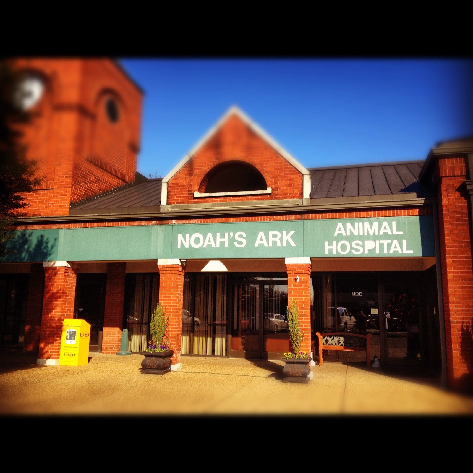 Noahs Ark Animal Hospital - Brentwood , United States