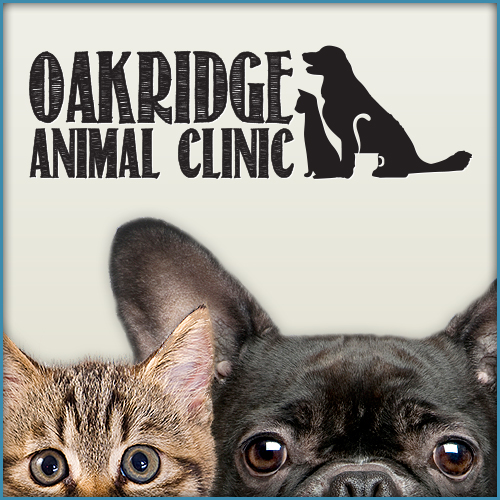 Oakridge Animal Clinic - London , Canada