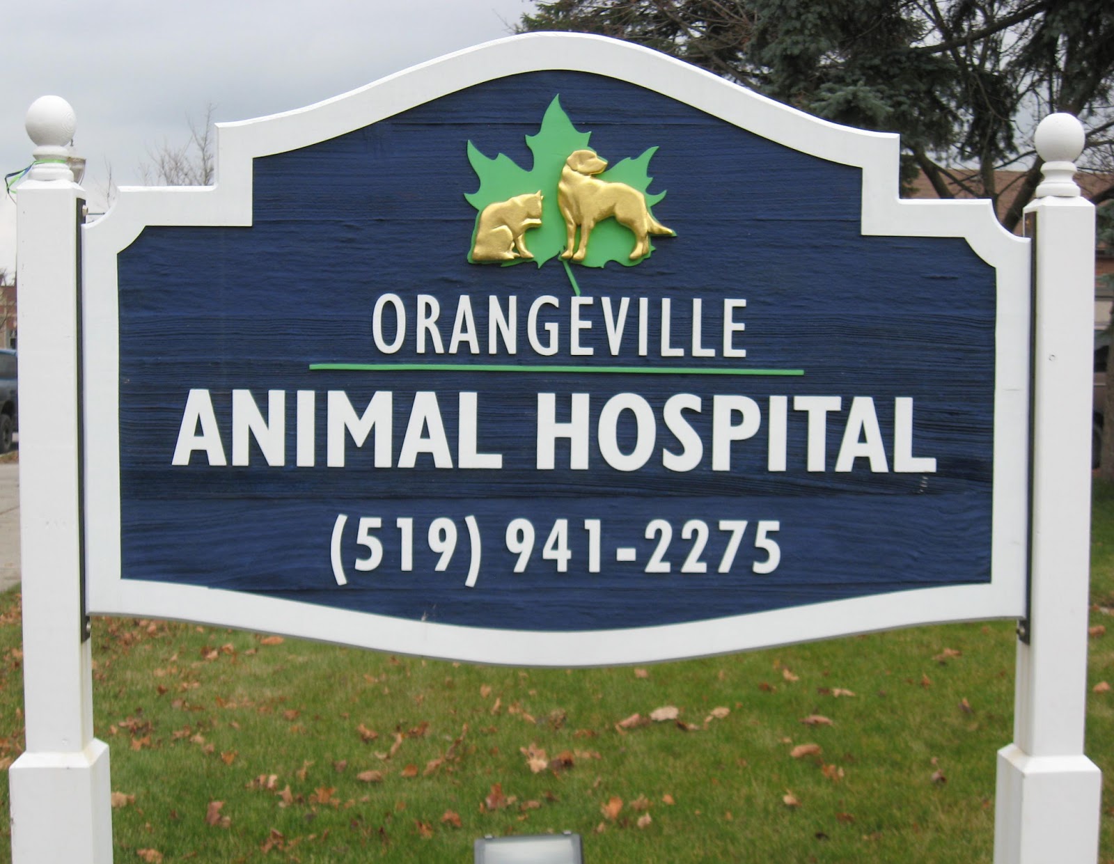 Orangeville Animal Hospital - Orangeville , Canada