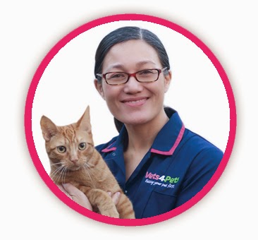 Vets4Pets Dagenham - Dagenham , United Kingdom