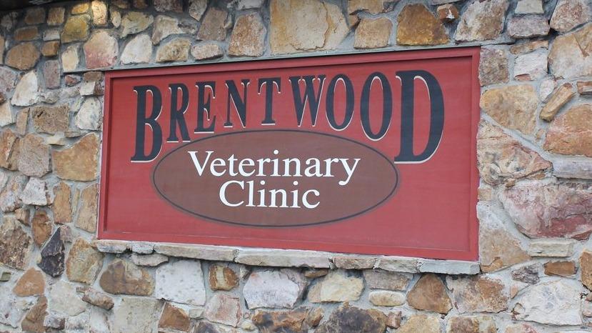 Brentwood Veterinary Clinic - Brentwood , United States