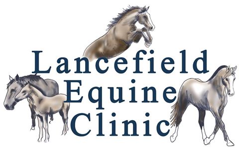Lancefield Equine Clinic - Lancefield , Australia