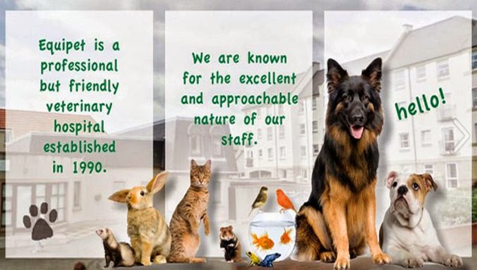 Albavet Veterinary Surgeons Kirkcaldy - Kirkcaldy , United Kingdom