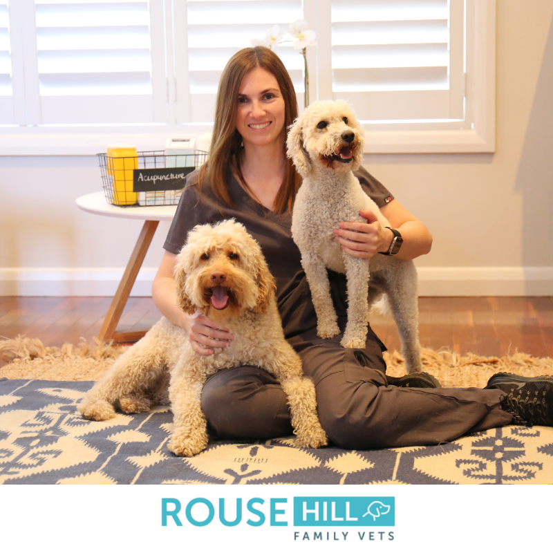 Rouse Hill Family Vets - Rouse Hill , Australia