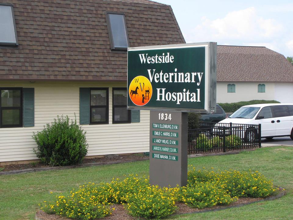 Westside Veterinary Hospital - Arab , United States