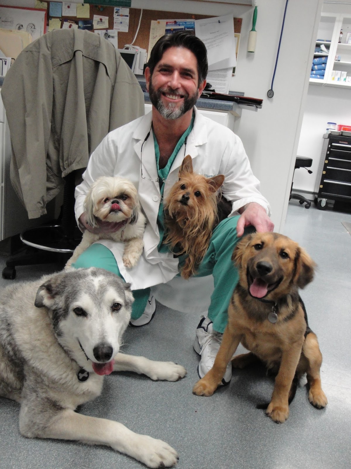 The Affordable Spay Neuter Clinic - Pottstown , United States