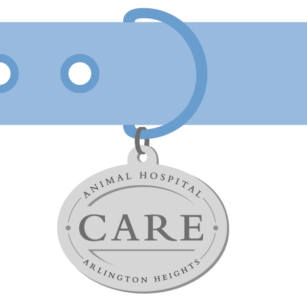 Care Animal Hospital - Arlington Heights , United States