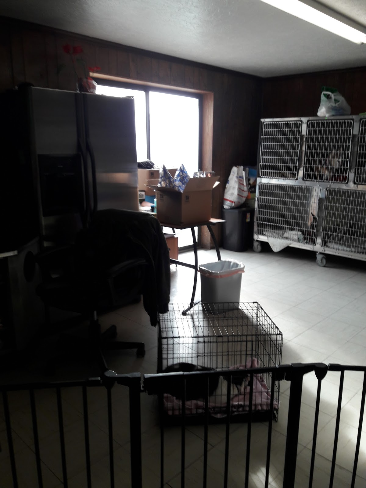 Town And Country Small Animal Hospital - Springfield , United States