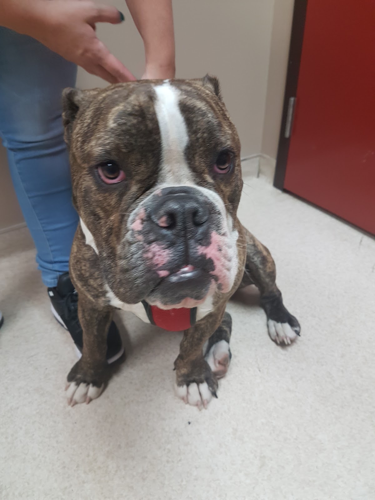 Park Veterinary Centre - Sherwood Park , Canada