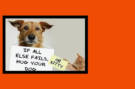 Dogwood Vet Hospital - Shawnee , United States