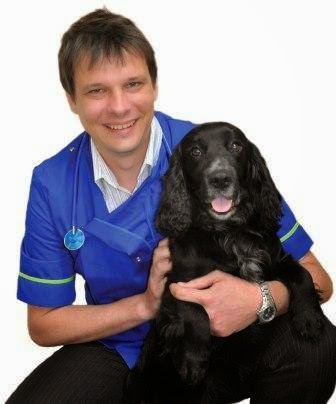 Companion Care Gloucester - Gloucester , United Kingdom