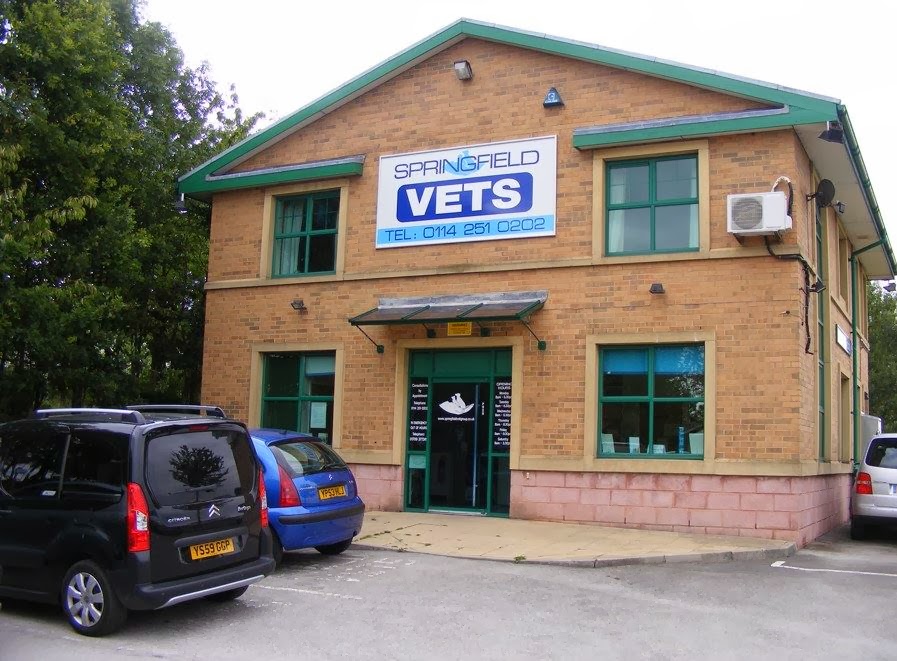 Springfield Veterinary Surgery Crystal Peaks - Sheffield , United Kingdom