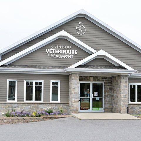 Clinique Vétérinaire De Beaumont Vet Et Nous - Beaumont , Canada