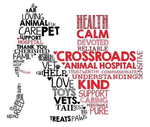 Crossroads Animal Hospital - Medicine Hat , Canada