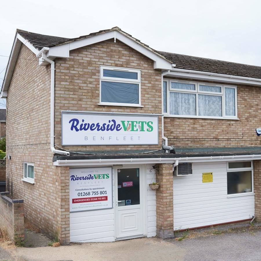 Medivet Benfleet London Rd - Benfleet , United Kingdom