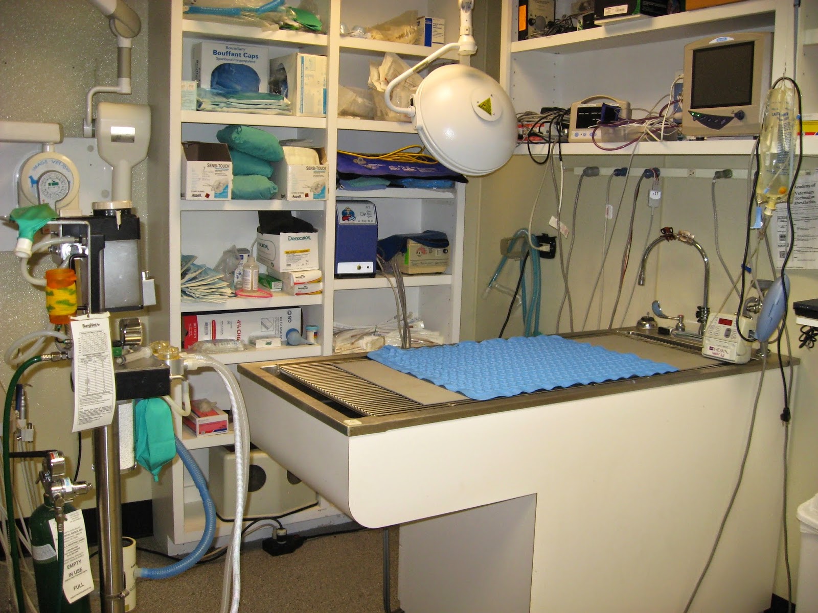 Rau Too Animal Hospital - Willow Grove , United States