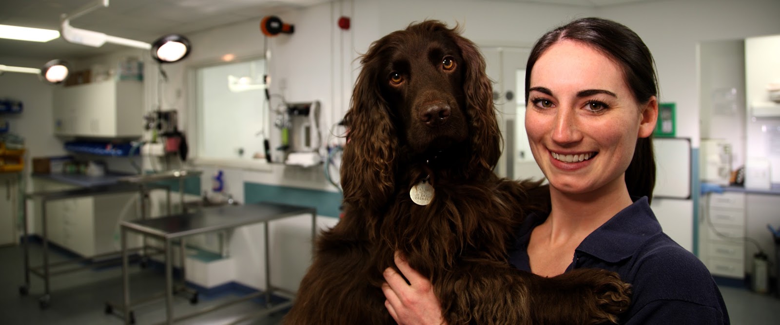 Pool House Veterinary Hospital - Lichfield , United Kingdom