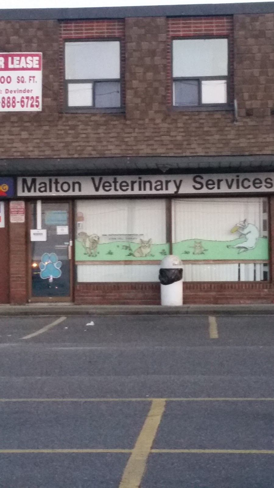 Malton Veterinary Services - Mississauga , Canada