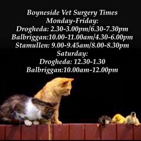 Boyneside Veterinary Clinic - Drogheda , Ireland