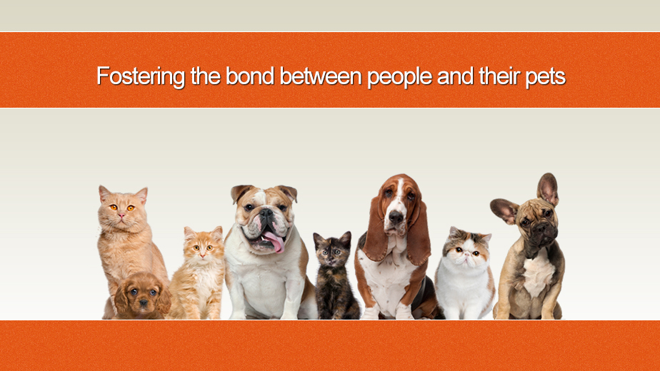 Cambridge Veterinary Care - Cambridge , United States