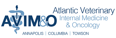 Atlantic Veterinary Internal Medicine & Oncology in Annapolis - Annapolis , United States