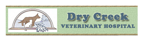 Dry Creek Veterinary Hospital - Galt , United States