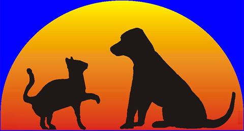 Alma Animal Hospital - Allen , United States