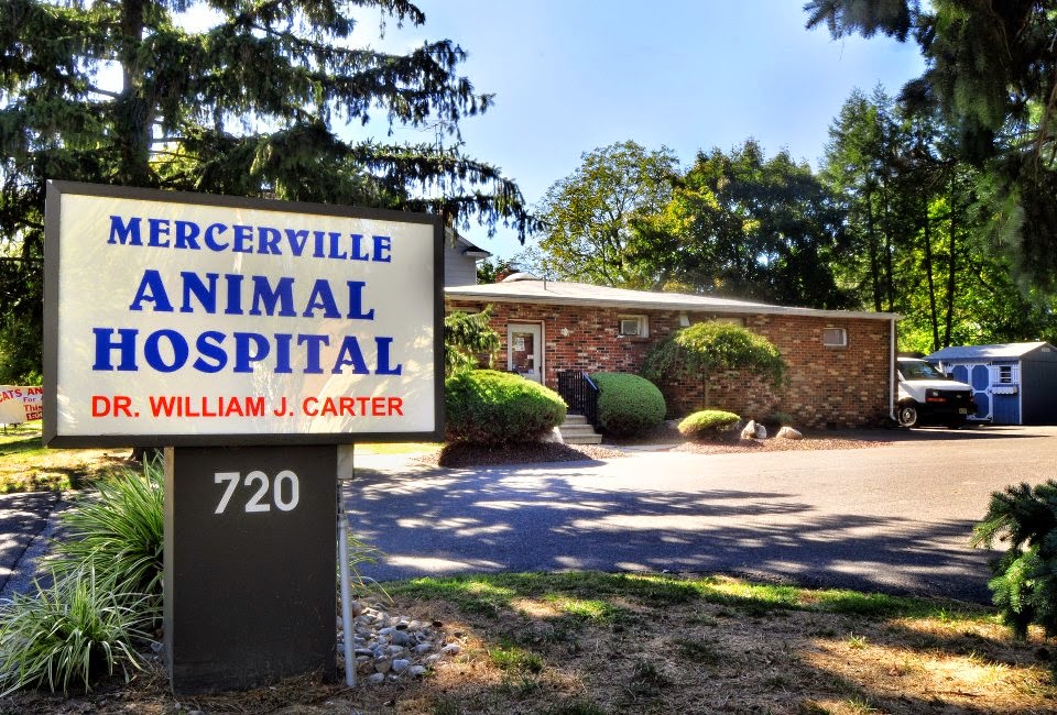 Mercerville Animal Hospital - Mercerville , United States