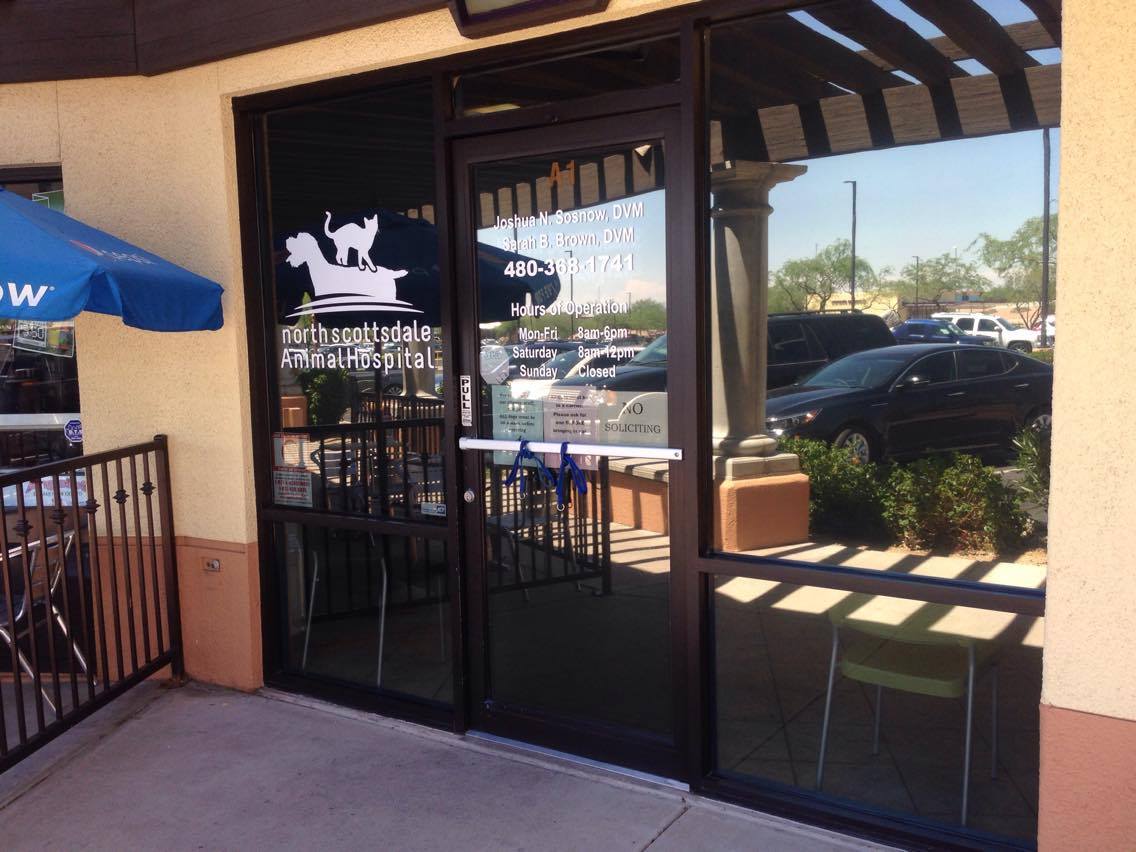 North Scottsdale Animal Hospital - Scottsdale , United States