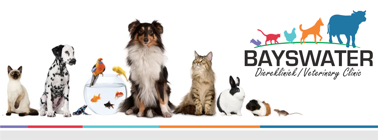 Bayswater Animal Clinic - Bloemfontein , South Africa