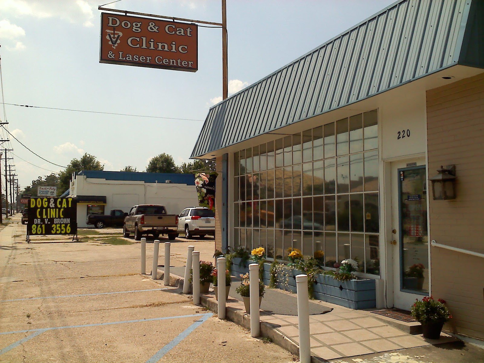 Dog and Cat Clinic and Laser Center - Shreveport , United States
