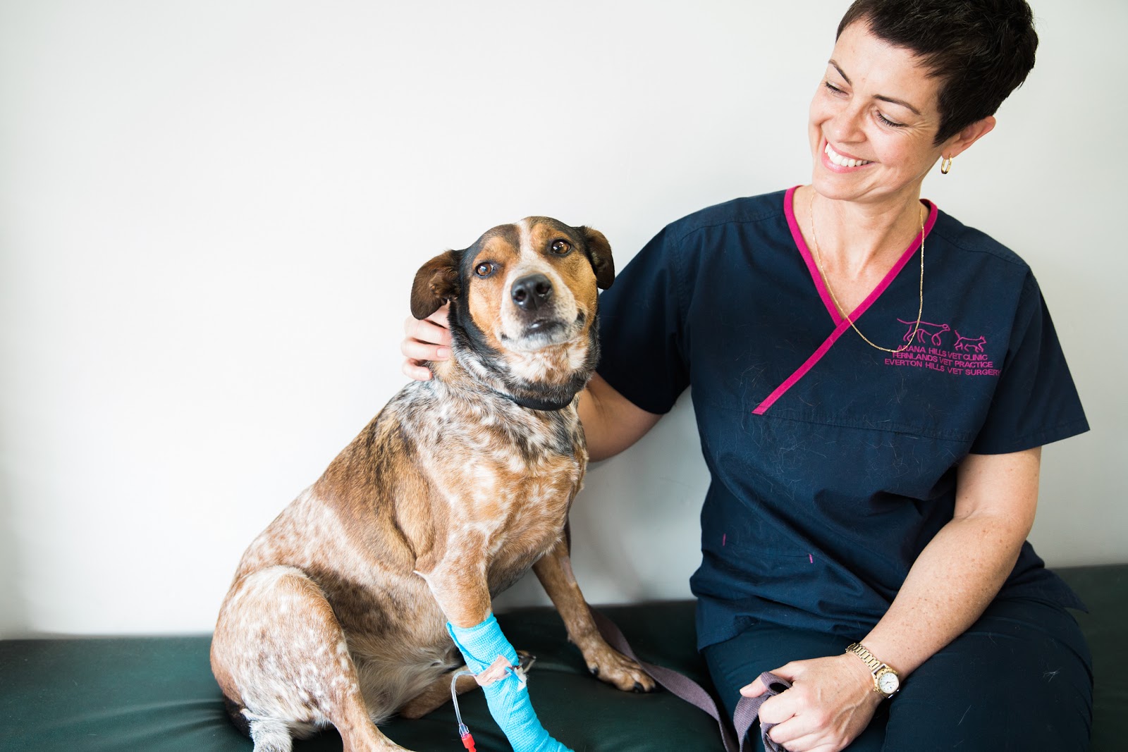 Vetkind Vets Everton Hills Everton Hills Veterinary Surgery - Everton Hills , Australia