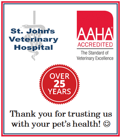 St John’S Veterinary Hospital - St. John's , Canada