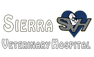 Sierra Veterinary Hospital - Carson City , United States