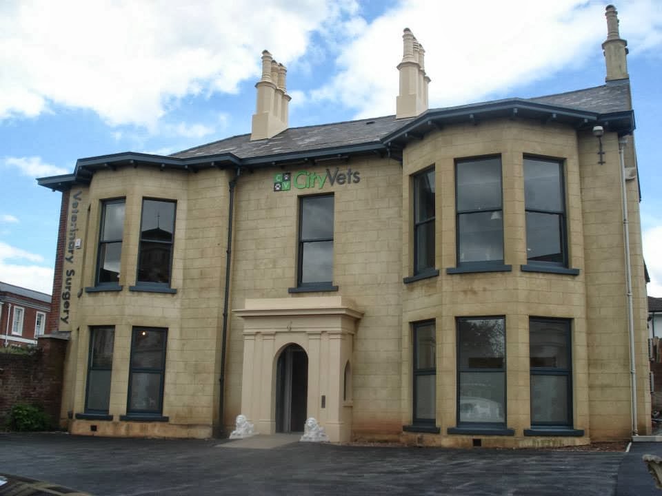 City Vets In Heavitree - Exeter , United Kingdom