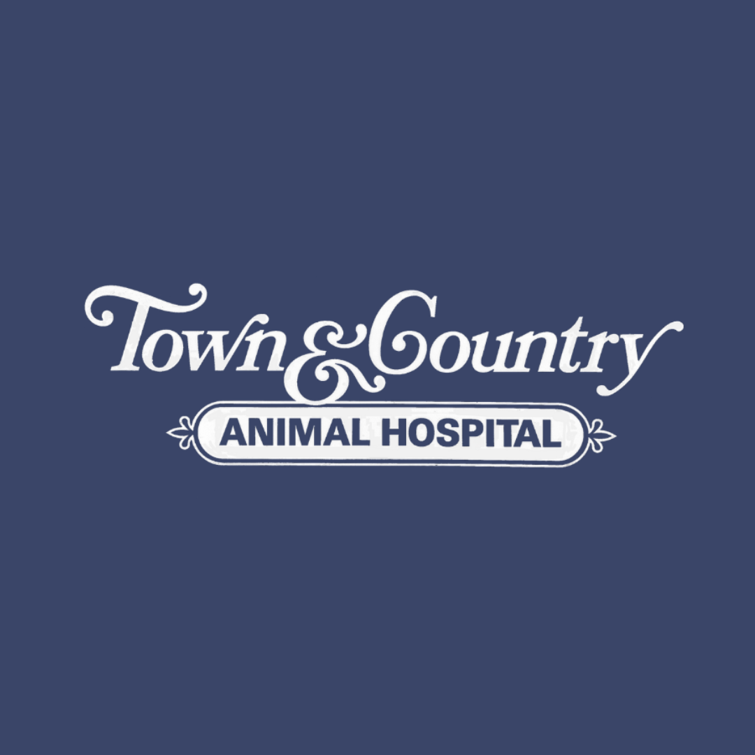 Town And Country Animal Hospital - Whitchurch-Stouffville , Canada