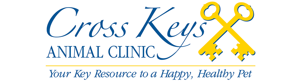 Cross Keys Animal Clinic - Florissant , United States