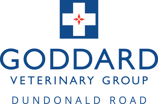 Goddard Veterinary Group Wimbledon Dundonald Road - London , United Kingdom
