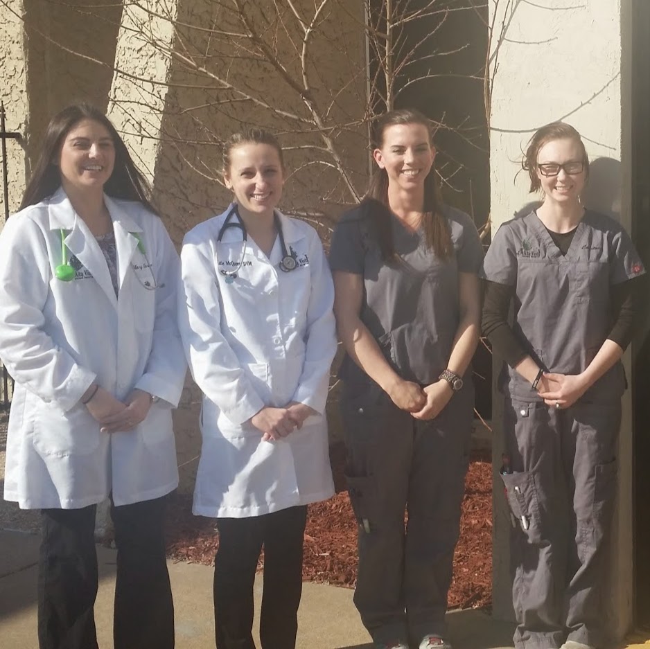 Alta Vista Animal Hospital And Pet Lodge - Tulsa , United States