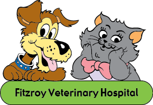 Fitzroy Vet Hospital - Fitzroy North , Australia