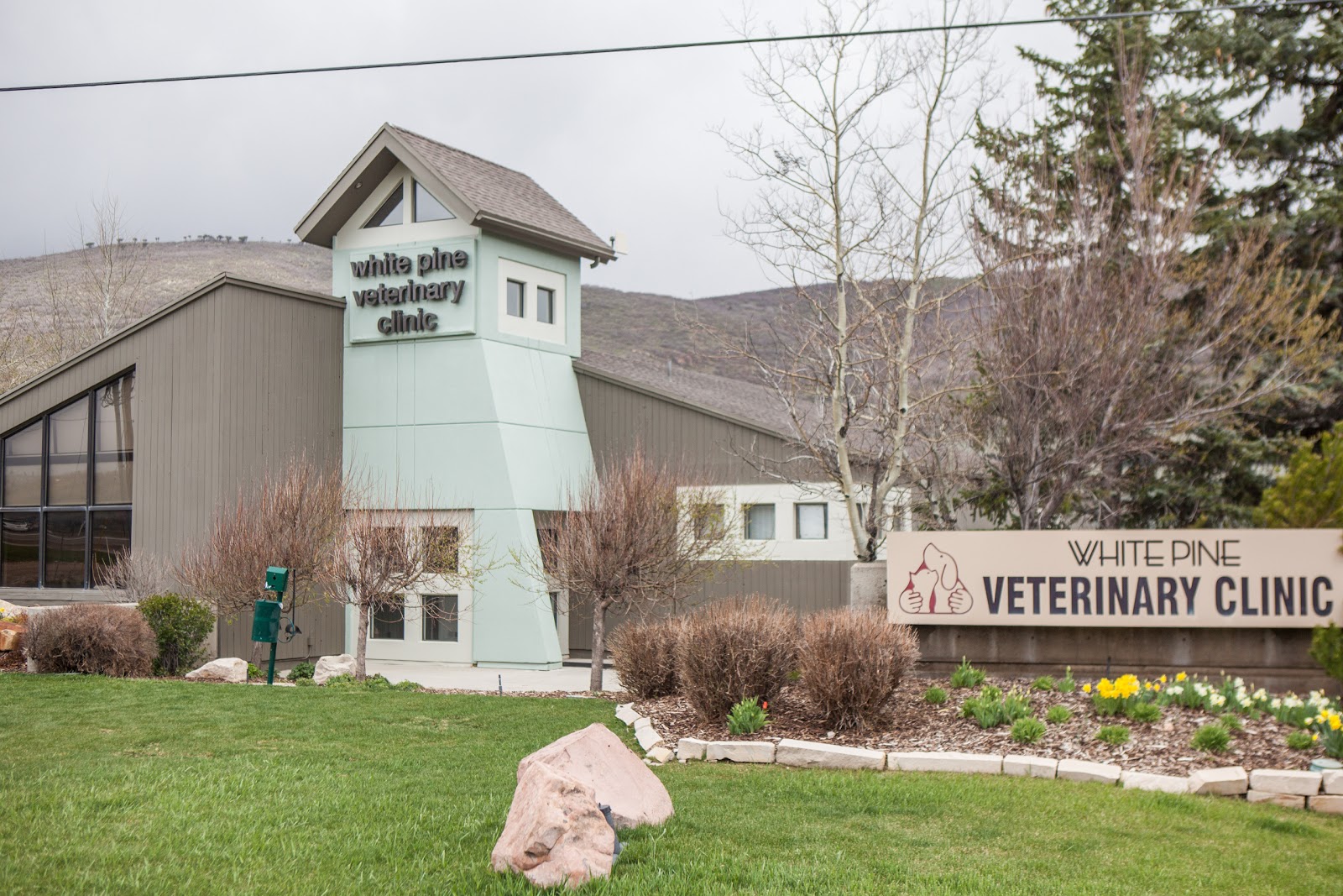 White Pine Veterinary Clinic - Park City , United States