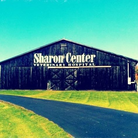 Sharon Center Veterinary Hospital - Medina , United States