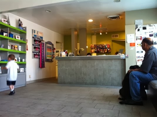 Northridge Pet Hospital - Northridge , United States