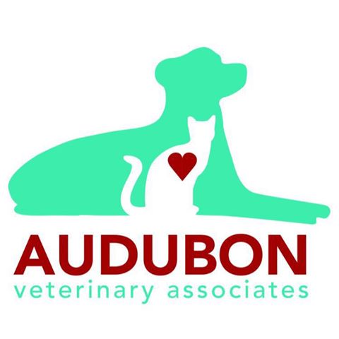 Audubon Veterinary Associates - Audubon , United States