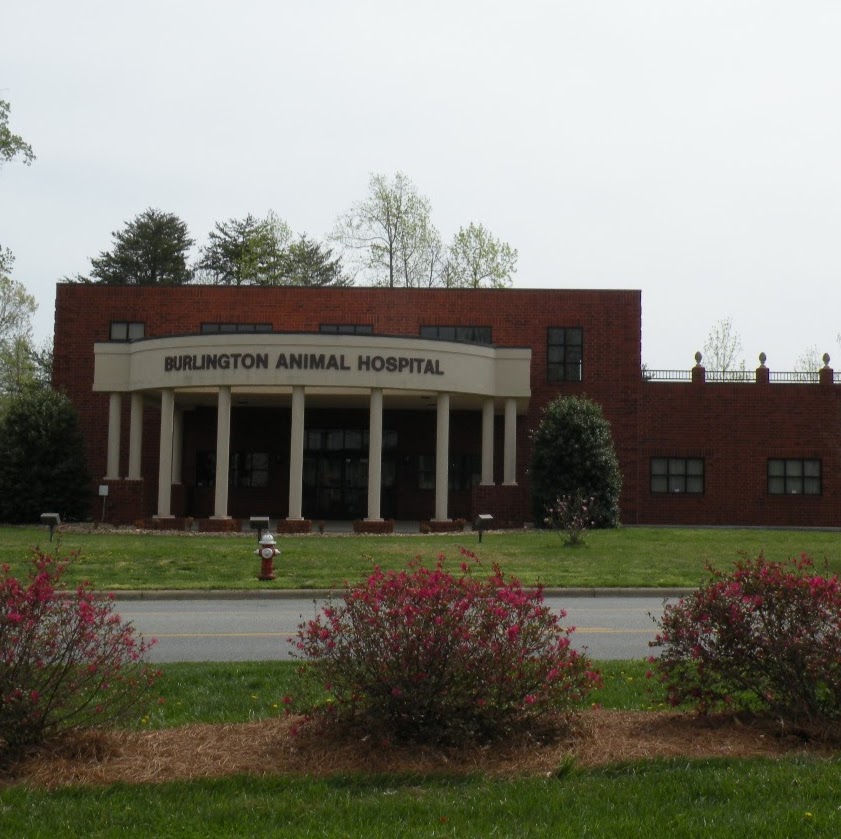 Burlington Animal Hospital - Burlington , United States
