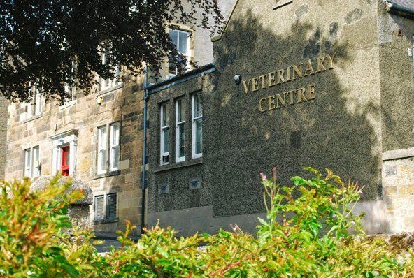 Albavet Veterinary Surgeons Dalgety Bay - Dunfermline , United Kingdom