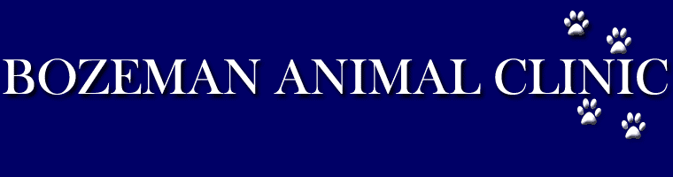 Bozeman Animal Clinic - Lubbock , United States