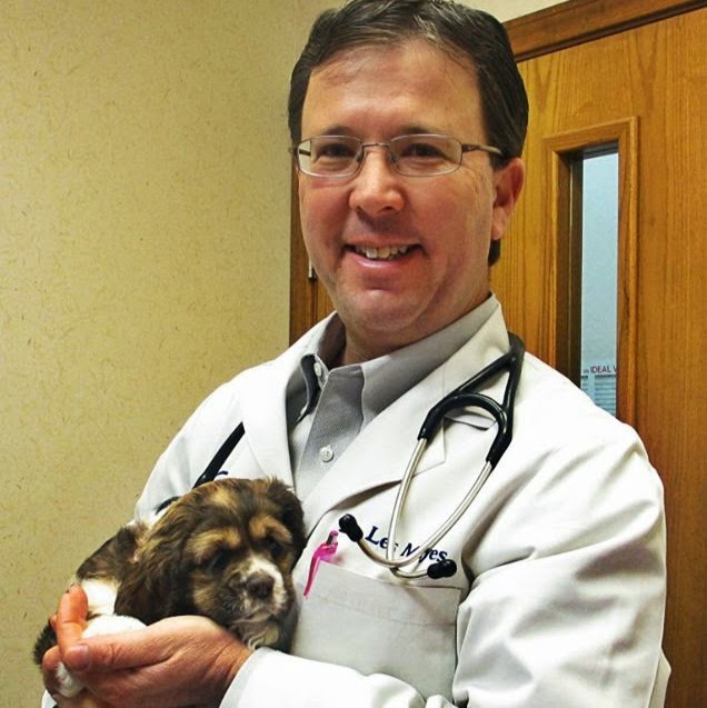 South Meadow Animal Clinic - Fort Worth , United States