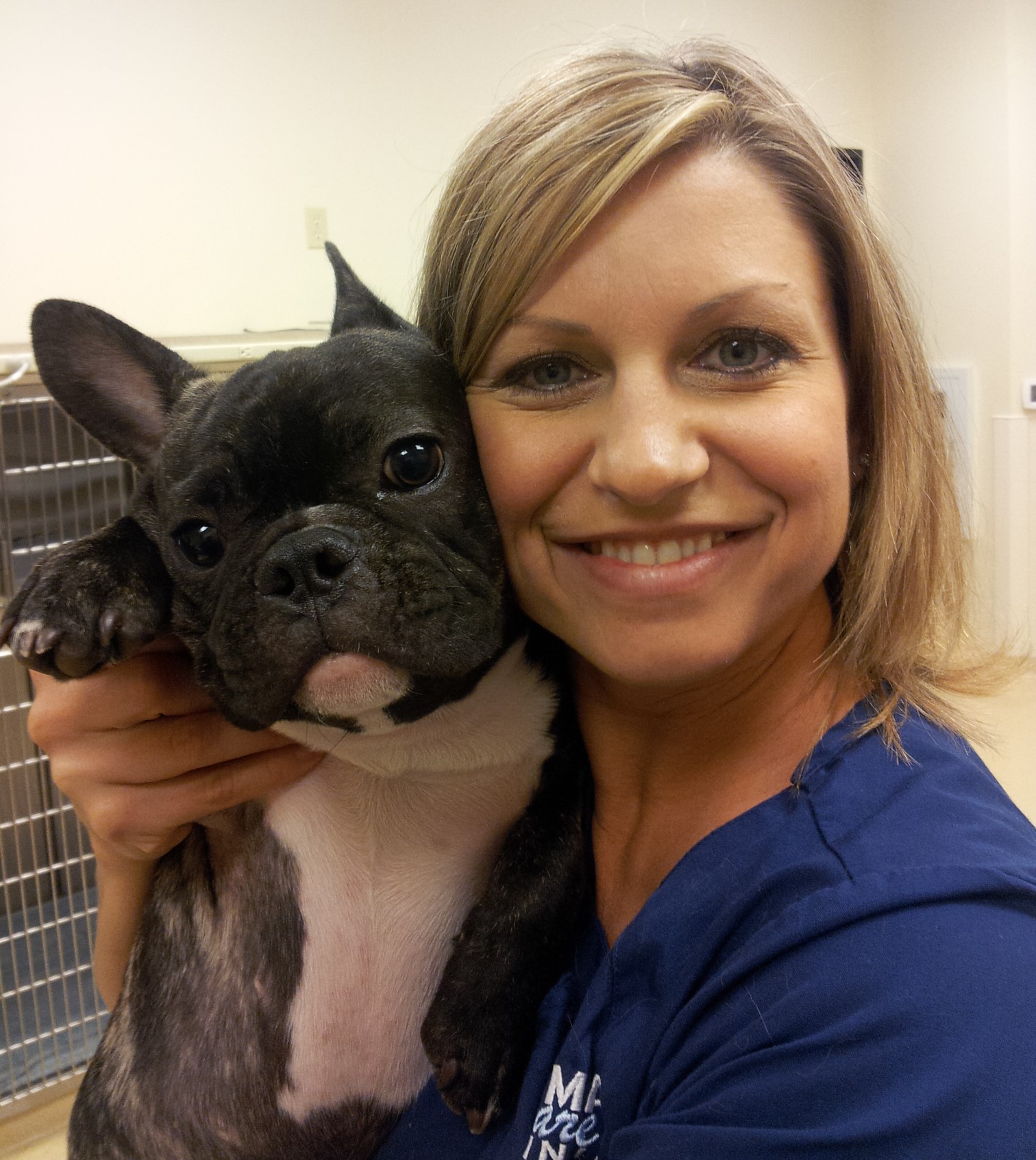 Animal Care Clinic - Wilsonville , United States