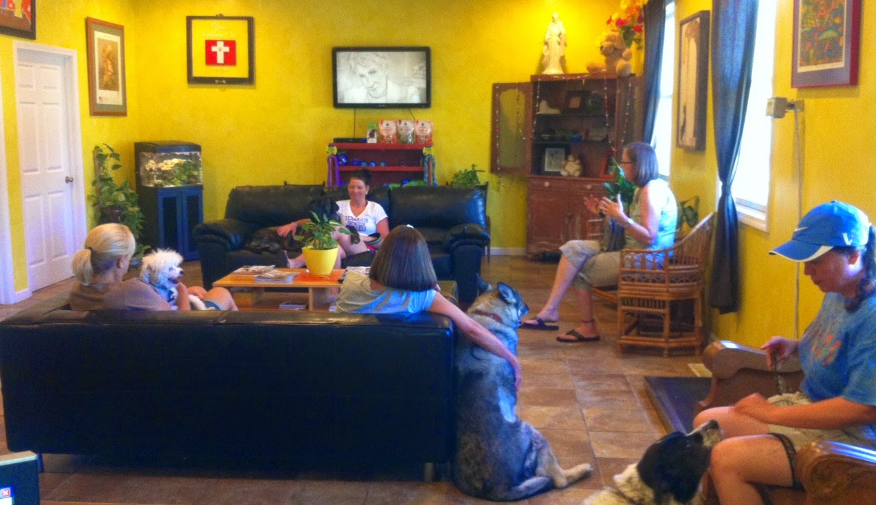 Grace Veterinary Clinic A Thrive Pet Healthcare Partner - Chatham , United States